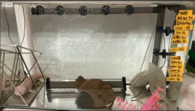 水槽にメンテナンス記録を貼る1