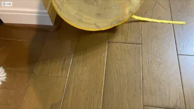 部屋の照明では埃が見えない