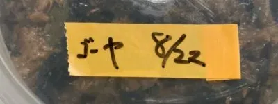 折り返しを作って貼った状態