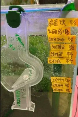 めだか水槽のメンテナンス記録