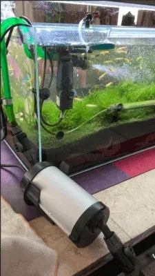 最終手段で解決！紫外線（UV-C）照射で水槽の白濁りを解消