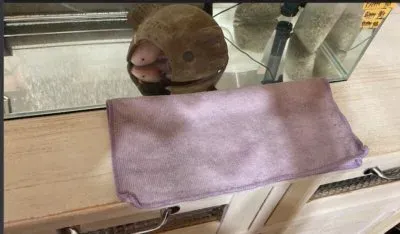水槽とタオル