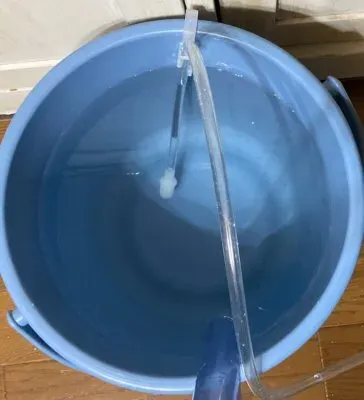 バケツに溜まった汚水