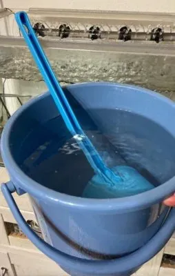綺麗な水を入れたバケツを水槽の縁へ置く