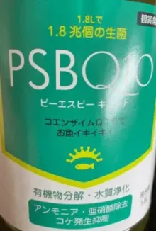 PSBQ10 光合成細菌