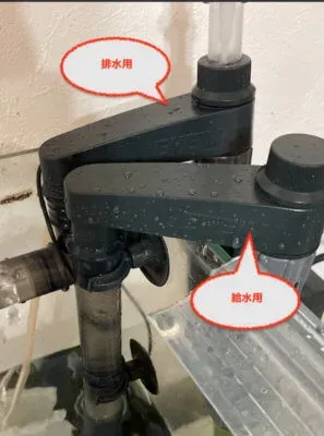 水槽に設置した給水用（手前）と排水用（奥）