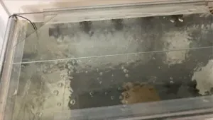 ガラス蓋により水しぶきと蒸発を抑制