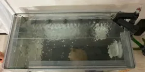 水槽上部全体をカバーした状態