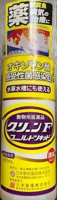 グリーンFゴールドリキッドによる薬浴