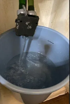 給水からのみ出る