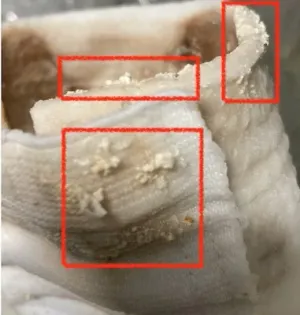 蒸発布に堆積した白い塊