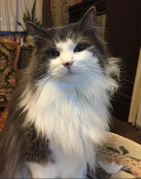 これから生き物を飼いたいと考えているかたへ