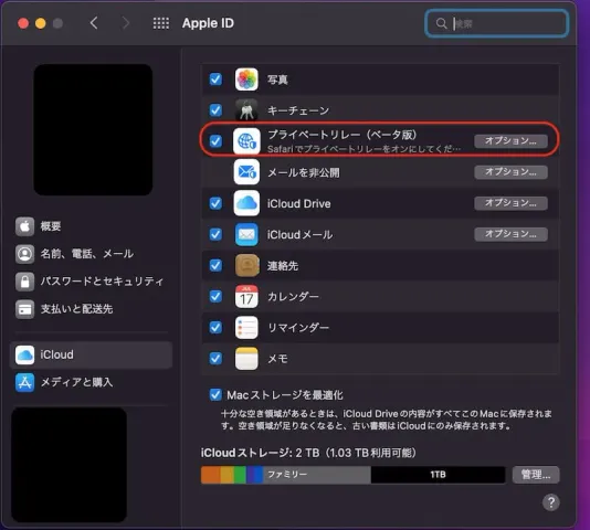 システム環境設定のApple IDでプライベートリレーが有効になっている状態
