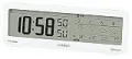 CASIO ウェーブセプター DWS-200J-7JF