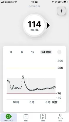 Dexcom G7アプリの24時間グラフ：夕方のスパイク波形とその後フラットに安定した114mg/dLの推移