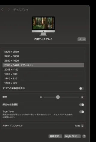 Luna Display接続時のディスプレイ設定で2560×1440（デフォルト・整数スケーリング）を選択した画面