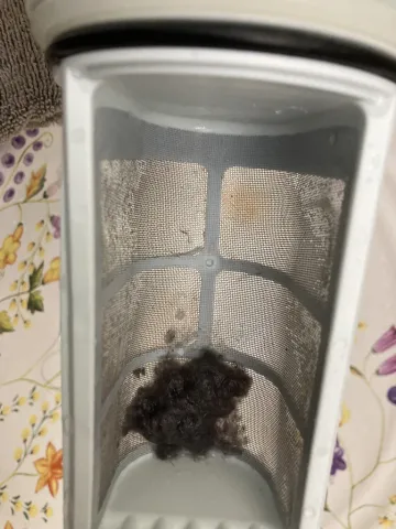 集めたゴミ