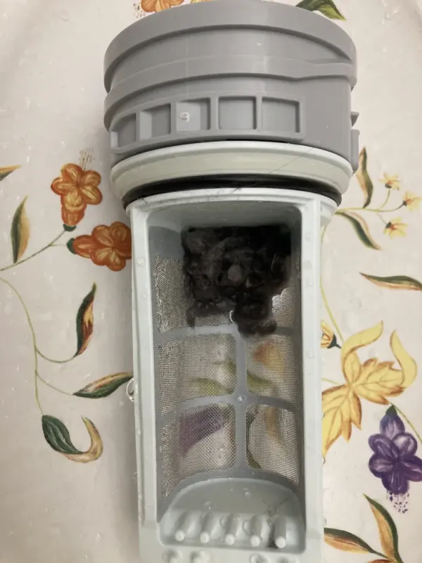 乾燥後の大量のゴミ